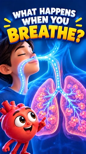 What happens when you take a breath? 🌬️🫁 #animation #science #brain