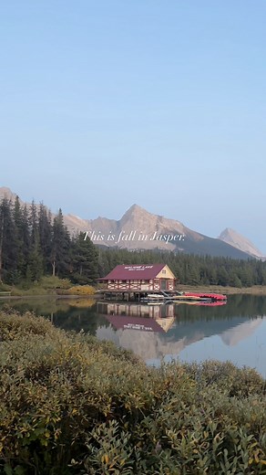Crisp mountain air, golden leaves, and endless views. 🍂 This is fall in Jasper. Iconic sights are transformed with a golden glow, and earlier nightfall sets the stage for unforgettable stargazing. 🌌 #MyJasper #VentureBeyond #JasperNationalPark | Jasper, Canada