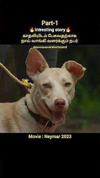 ➡️part-1 காதலியிடம் பேசுவதற்காக நாய் வாங்கி வளர்க்கும் நபர்