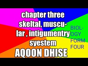 BIOLOGY FORM FOUR || skeletal system lesson 1 || chapter three || af soomali