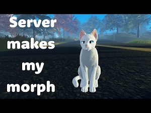 The server make my morph in Warrior Cats
