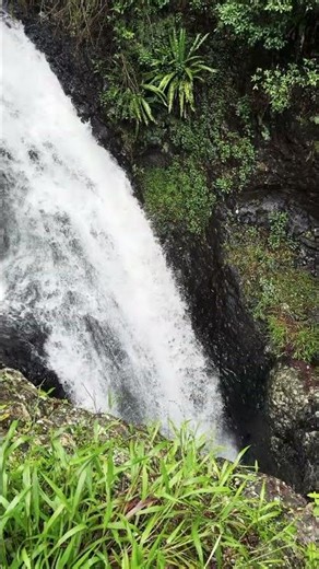 Natural Arch Waterfall | Springbrook National Park 🇦🇺