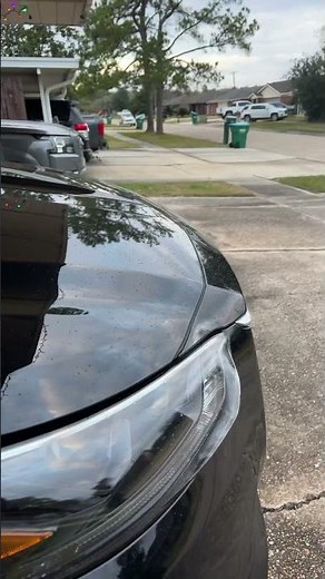 Toyota’s Paint Protection Worth It?