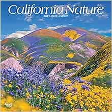 Calendars and Planners for 2022