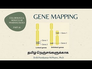 Gene mapping - CBMP26 - Tamil