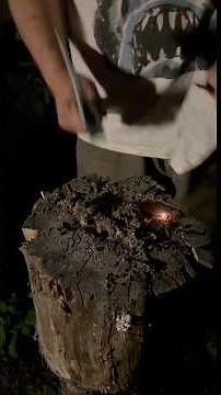 Paulsen Hatchet Challenge #flint&steel #flintandsteel #hatchetgarypaulsen #survival #sruvivalfire