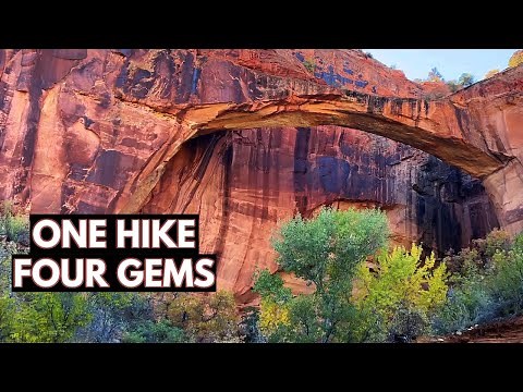 Natural Bridge Trail | Grand Staircase-Escalante National Monument | Utah