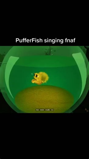 Pufferfish Singing Memes and More | Hilarious Fish Videos!