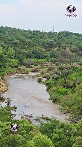 La Presa de Malpaso en #Calvillo finalmente luce en todo su esplendor y nos deja admirar uno de los paisajes más lindos de #Aguascalientes ¿Con quién irían? | ViajerAgs