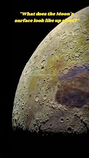 "What does the Moon's surface look like up close?" #worldphenomenafacts #space #universe #moonphases