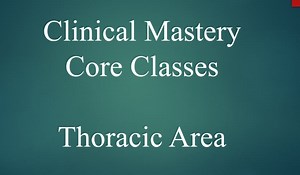 Video 11 | Low Back and Thoracic | Intercostal Muscles