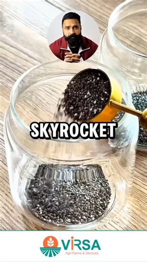 Chia Seeds – Tiny Seeds, Mighty Benefits! Packed with fiber, omega-3s, protein, and antioxidants, chia seeds boost energy, aid in digestion, aid in weight loss, and promote heart and brain health. Get our 100% pure chia seeds now! https://virsapure.com.pk/products/chia-seeds | Virsa