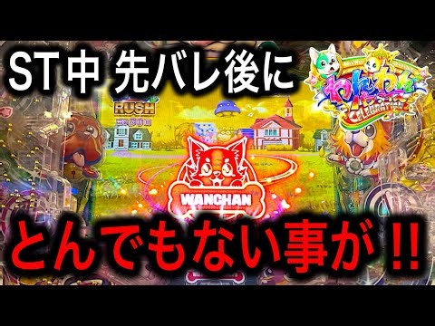 【You might be lucky if you see this😆】PA Wanwan Celebration AGBD Gameplay Video‼️