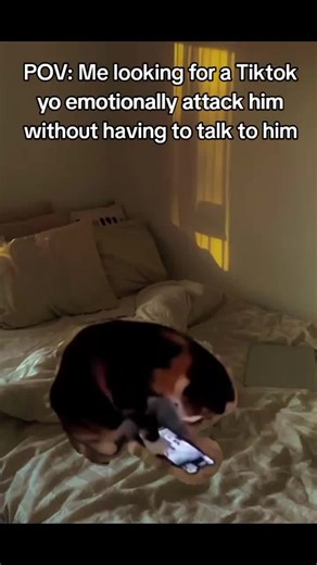 Creative Ways to Communicate Without Words