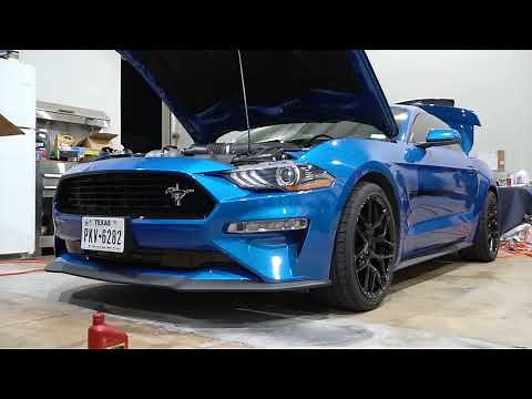 Boost Your Ford Mustang GT : Ultimate Nitrous Plate Kit Installation Guide