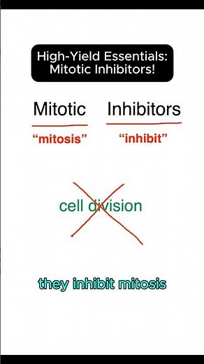 Mitotic Inhibitors explained. High yield pharmacology lesson