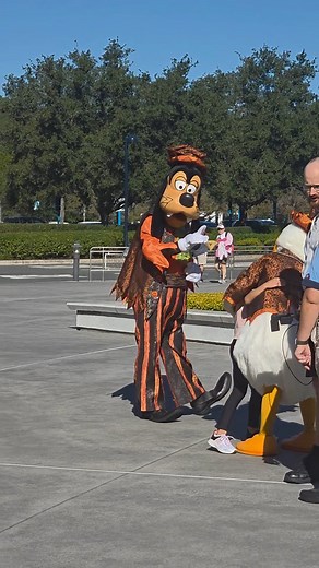Halloween Goofy and Donald at Disney's Art of Animation Resort It's pretty typical for me to see the characters when I deliver to the resorts but this week they are in their Halloween attire. Pluto joined shortly after wearing a Halloween-y collar. #disneyworld #goofy #Donaldduck #disneyworldresorts #disneycharacters | Sunshine Baking Princess
