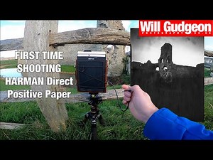 First time shooting Harman Direct positive paper (pinhole)
