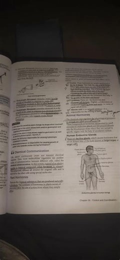 ch control and coordination notes bio