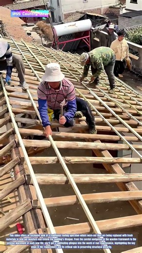 Roof Renewal: How Traditional Tile Replacement Restores Weatherproof Protection