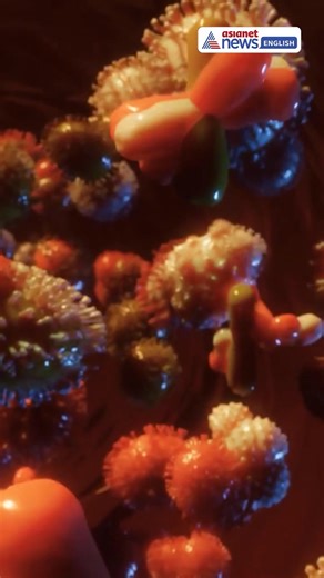 The 2025 Nobel Prize in Medicine was awarded to Mary Brunkow, Fred Ramsdell, and Shimon Sakaguchi for their groundbreaking discovery of regulatory T-cells. What are these and how this could revolutionize medicine? #SciencePulse #NobelPrize2025 #ImmuneSystem #TCELLS #MedicalBreakthrough #AutoimmuneDisease #CancerResearch #RegulatoryTCells #FOXP3 #HealthcareInnovation #ScienceNews #Science | Asianet Newsable