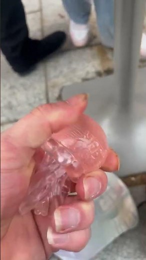 Most Satisfying Pink Jellyfish Squishy! 🐙✨ Nee-Doh Unboxing