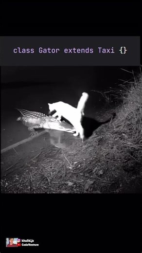 inheritance gone wrong #coding #programming #javascript #python