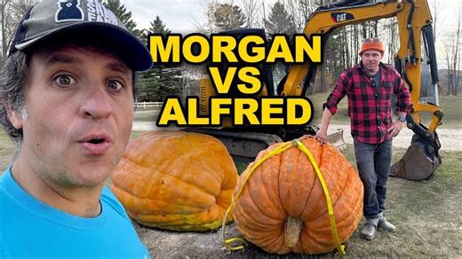 Giant pumpkin contest erupts into wild farm competition