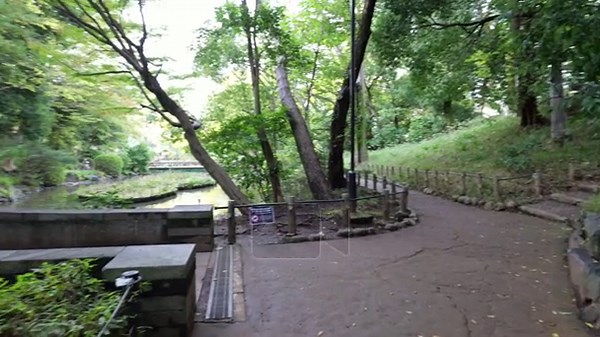 Arisugawa-no-miya Memorial Park, Japan Tokyo 2025 Stock Video Footage - Alamy