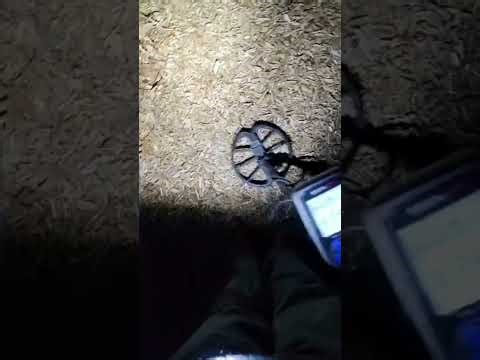 Nighttime Playground Hunt with the Nokta Simplex+ – Slim Pickings but Still Fun