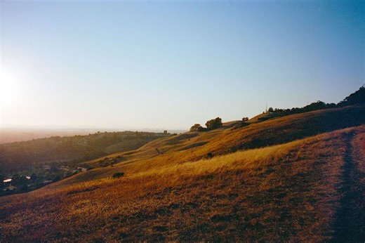 How to edit home scanned film at home with #negativelabpro #lightroom #filmphotography