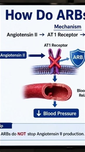 How Do ARBs Work? (ARBs vs ACE Inhibitors Pharmacology Review)