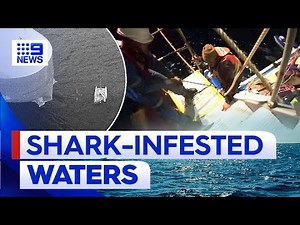 Three sailors rescued after sharks attack catamaran in Coral Sea | 9 News - The Global Herald
