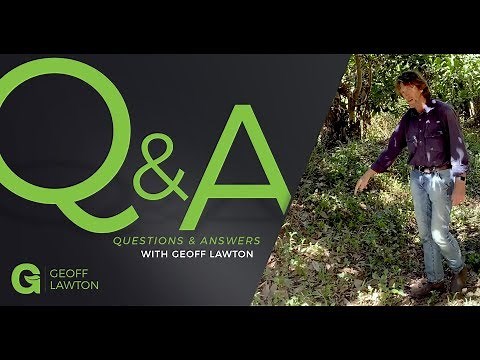 Installing Swales in Clay & Poor Draining Soils