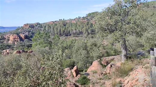 Mamma mia 306 maxi | Motorsport - Wikirace