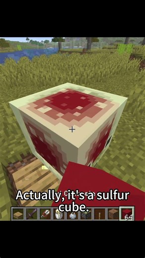 Minecraft secretly added vertical slab?!