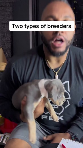 Have some program goals #mydogtools #pup #puppy #americanbully #merlebully #pocketbully #xlbully #takecareofyourdog #takecareofyourdogs