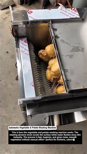 Automatic Vegetable & Potato Washing Machine – Super Fast Cleaning!