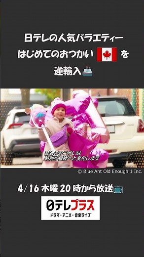 「はじめてのおつかい／Old Enough!」カナダ版、日テレプラスで日本初放送！#oldenough #はじめてのおつかい #日本テレビ