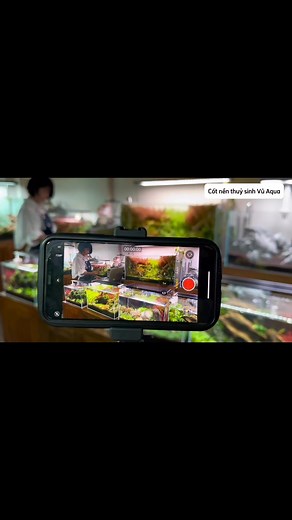 CHILL THÔI😘#VũAqua | Vũ Aqua