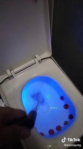 Life-Changing Bidet Sprayer: How Filipinos Clean Their Hooha & Bum Bum