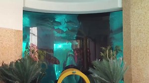 Golden Nugget | Explore Vegas