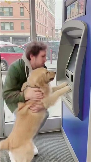Dog Really Thought This ATM Was HIS Account 😭💳🐶