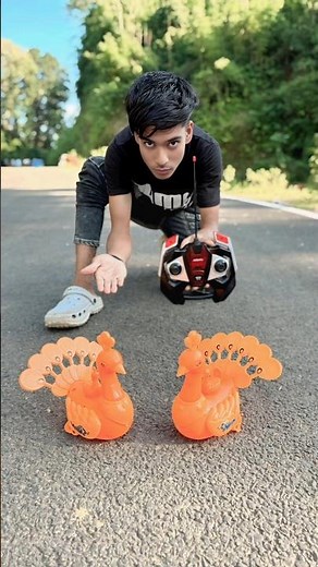 Blue and White 2 Remote control Chicken Murga unboxing🔥