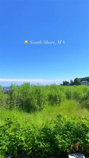 Exploring the Beauty of South Shore Beaches