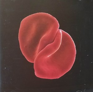 Peter Gabriel - Scratch My Back