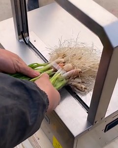 6.3M views · 2.8K reactions | Great hacks to make gardening easier!  | Simple Life | Facebook