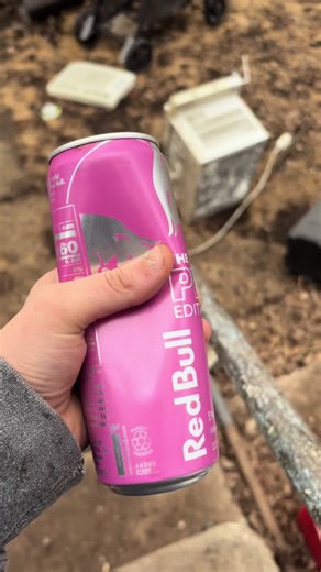 Hunter Lingle (@hunter.lingle3)’s videos with DINOA1 HATE BEIN SOBER - Dino