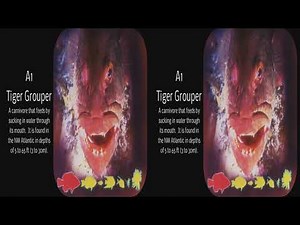 View-Master Safari, Creatures of the Deep 1998 Restored