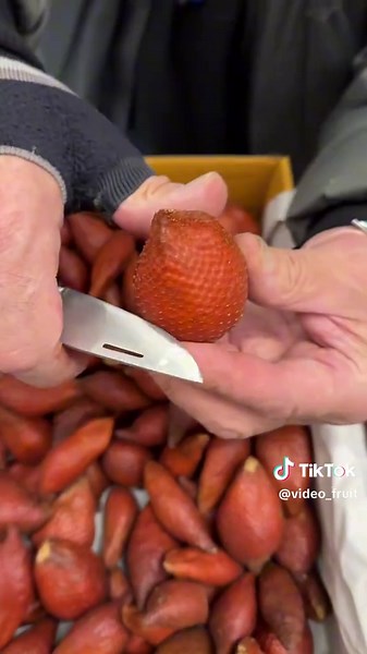 Soothing ASMR Fruit Eating Video